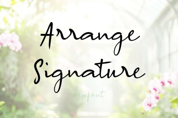 Arrange Signature: A Thoughtful Script Font for Editorial Warmth