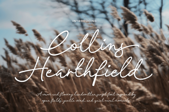 Collins Hearthfield: A Warm, Flowing Script Font